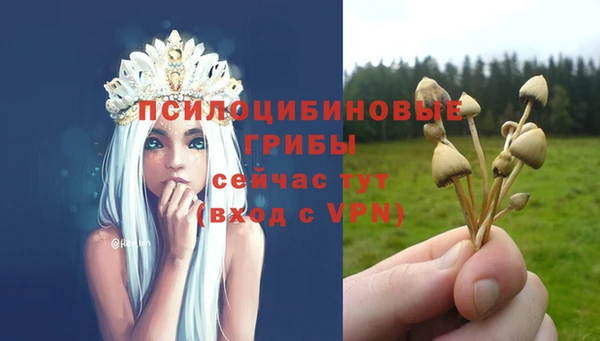 молекула духа Абдулино
