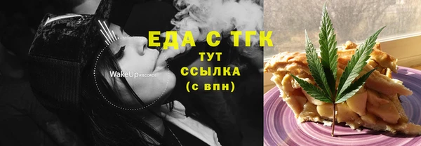 индика Пестово