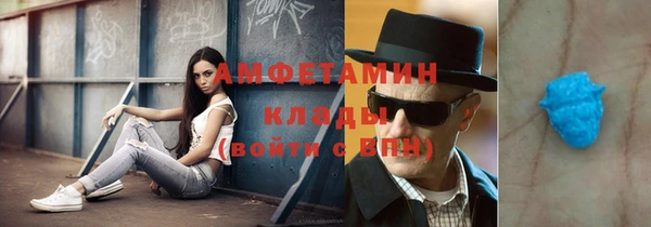 индика Пестово