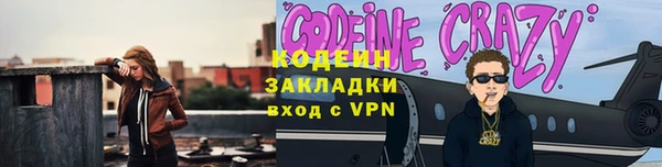 индика Пестово