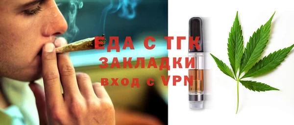 гидра Ельня