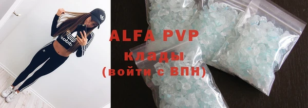 индика Пестово
