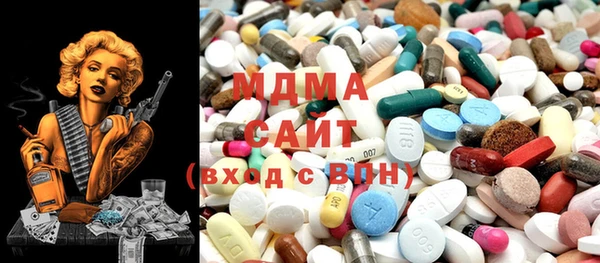индика Пестово