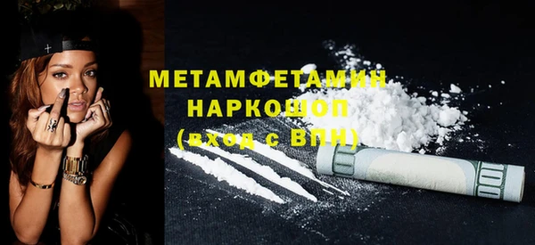индика Пестово