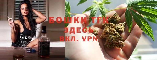 СК Елизово