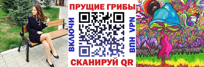 darknet Telegram  Нариманов  мега зеркало  Псилоцибиновые грибы Cubensis  купить наркотики сайты 